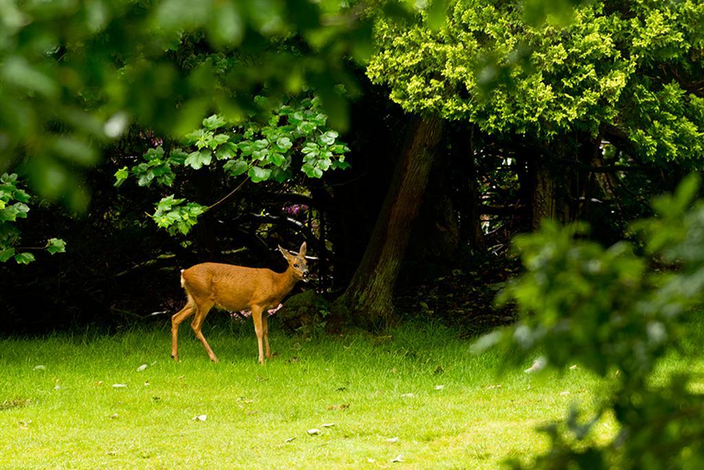 Yha Grasmere Butharlyp Howe Eksteriør billede